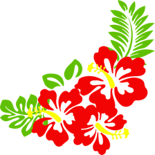 Kapix logo